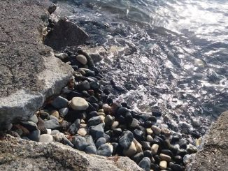 Κραυγή απόγνωσης από τον Ναυτικό Όμιλο Κερύνειας