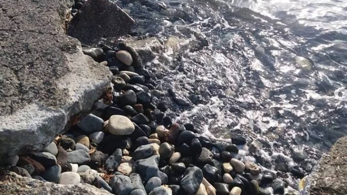 Κραυγή απόγνωσης από τον Ναυτικό Όμιλο Κερύνειας1 Κραυγή απόγνωσης από τον Ναυτικό Όμιλο Κερύνειας